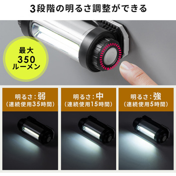 LEDライト サンワダイレクト