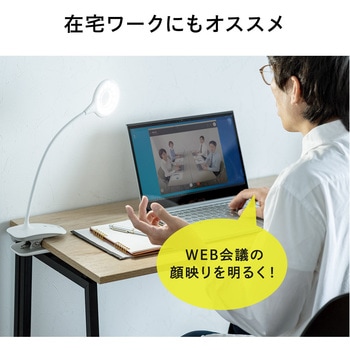 LEDライト サンワダイレクト