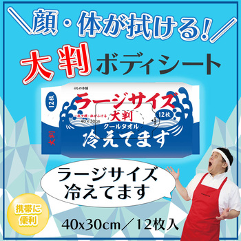 大判クール ラージサイズ 冷えてます カネイシ
