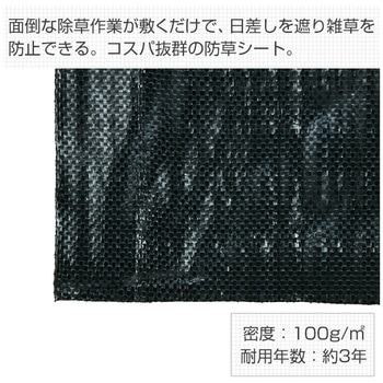 防草シート(1m×50m) YAMAZEN(山善)