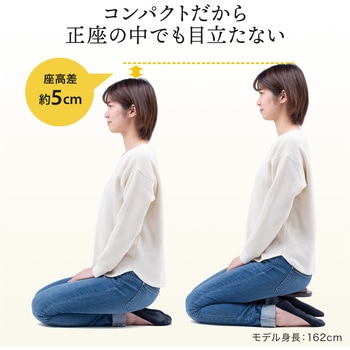チェア サンワダイレクト