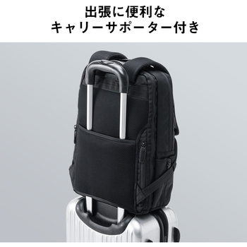 キャリングバック サンワダイレクト