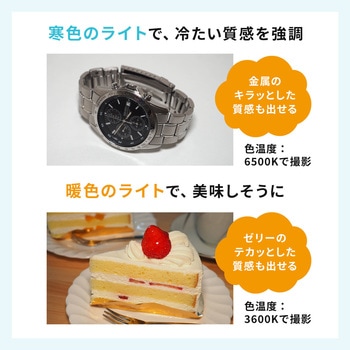 LEDライト サンワダイレクト