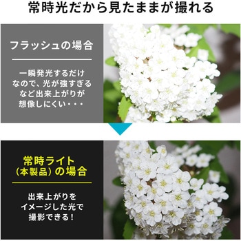 LEDライト サンワダイレクト