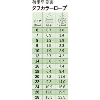 29528 玉掛ワイヤー(タフカラーロック) 1本 アイビッグ 【通販サイト