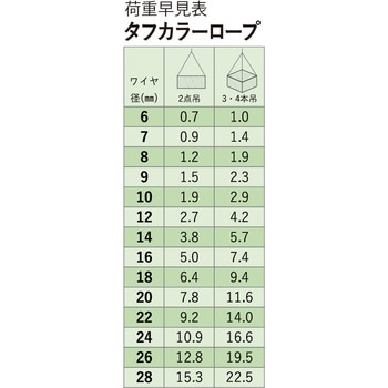 玉掛ワイヤー(タフカラーロック) アイビッグ