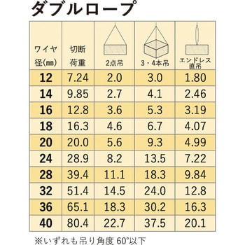 28930 玉掛ワイヤー(ダブルロープ 安全ひげなしテーパーロック) 1本