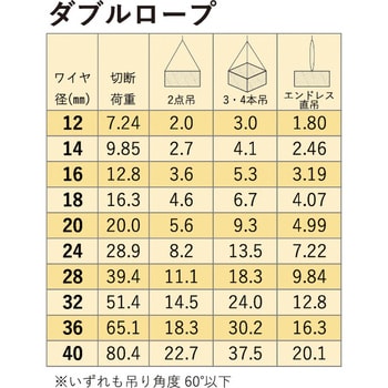 28961 玉掛ワイヤー(ダブルロープ 安全ひげなしテーパーロック) 1本