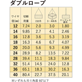 玉掛ワイヤー(ダブルロープ 安全ひげなしテーパーロック) アイビッグ