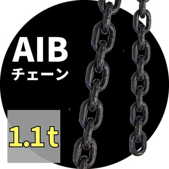 チェーン アイビッグ