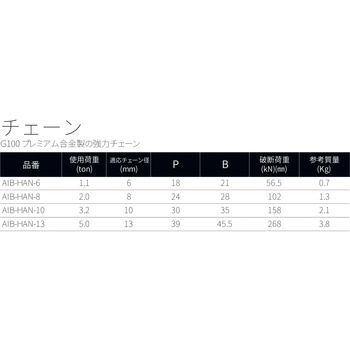 チェーン アイビッグ