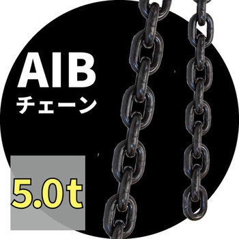 チェーン アイビッグ