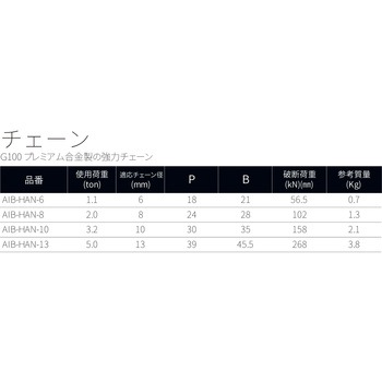 チェーン アイビッグ