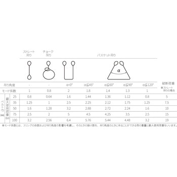 ファイバーマックス アイビッグ