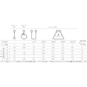 ファイバーマックス(オーバーロードゲージ付き) アイビッグ アイタイプ