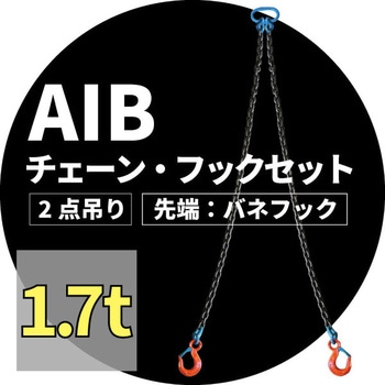 2点吊りチェーンフックセット アイビッグ