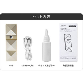 スチーマー美顔器 ナノミスト 小型 充電式 潤い 保湿 乾燥防止 毛穴ケア FASCINATEBEAUTY
