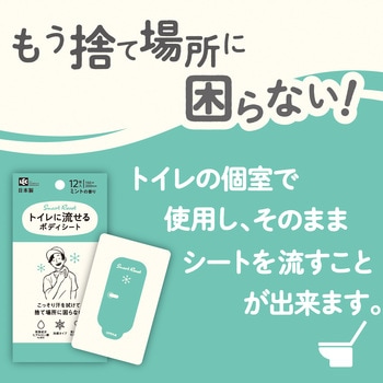 トイレに流せるボディシート12枚 男性用 LEC(レック)