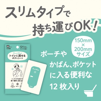 トイレに流せるボディシート12枚 男性用 LEC(レック)
