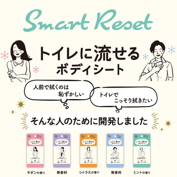 トイレに流せるボディシート12枚 男性用 LEC(レック)