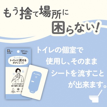 トイレに流せるボディシート12枚 男性用 LEC(レック)