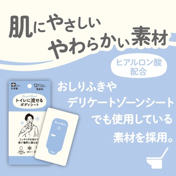 トイレに流せるボディシート12枚 男性用 LEC(レック)