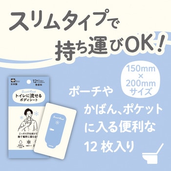 トイレに流せるボディシート12枚 男性用 LEC(レック)