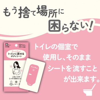トイレに流せるボディシート12枚 女性用 LEC(レック)