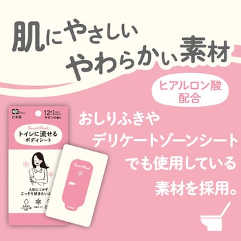 トイレに流せるボディシート12枚 女性用 LEC(レック)