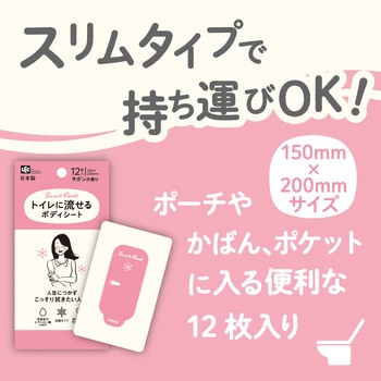 トイレに流せるボディシート12枚 女性用 LEC(レック)