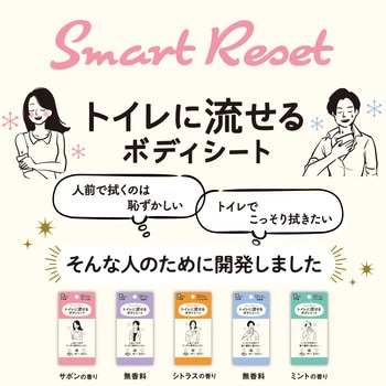トイレに流せるボディシート12枚 女性用 LEC(レック)
