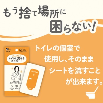 トイレに流せるボディシート12枚 女性用 LEC(レック)