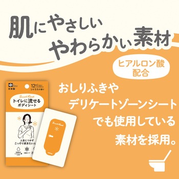 トイレに流せるボディシート12枚 女性用 LEC(レック)
