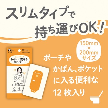 トイレに流せるボディシート12枚 女性用 LEC(レック)