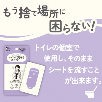 トイレに流せるボディシート12枚 女性用 LEC(レック)