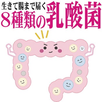KANZOUKING タバタ(畜産)