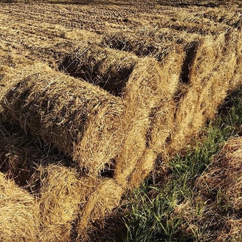 ベーラー用PPトワイン タバタ(畜産)