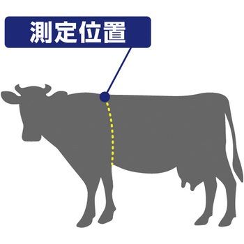 体重推定尺乳牛用 タバタ(畜産)
