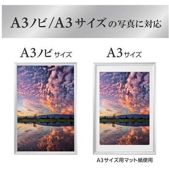 アルミ額 ペオリアプラス FAPEPシリーズ ハクバ写真産業