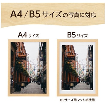 木製額 FWPXPシリーズ ハクバ写真産業