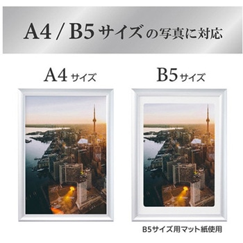 アルミ額 ペオリアプラス FAPEPシリーズ ハクバ写真産業