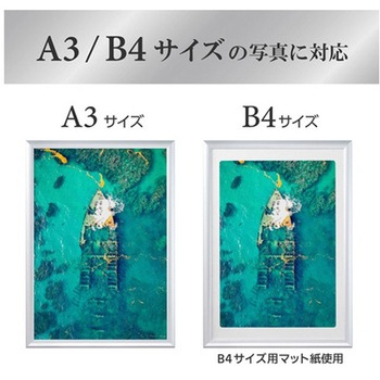 アルミ額 ペオリアプラス FAPEPシリーズ ハクバ写真産業