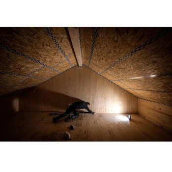AF8R Work LED LENSER