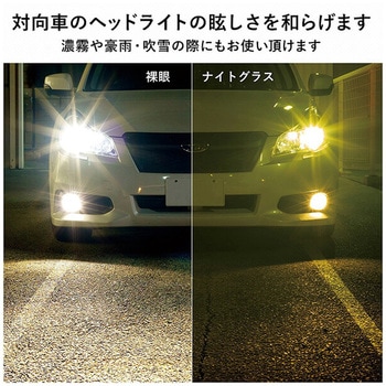 夜間用グラス UVカット ナイトグラス BUNNY WALK(バニーウォーク)