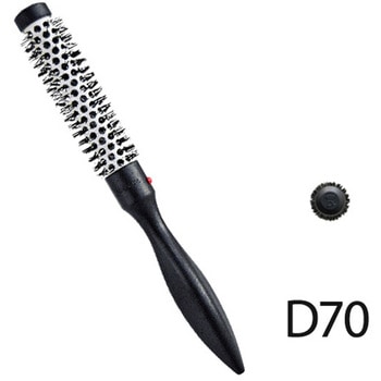 D70 デンマン