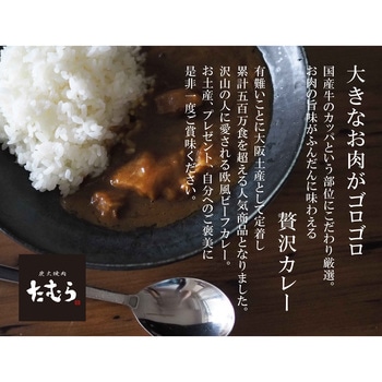 炭火焼肉たむらのお肉が入ったカレー(辛口) 田村道場