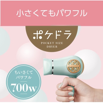 ポケットサイズミニ・ヘアドライヤー コイズミ