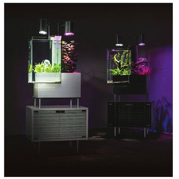 �x�� 329019 brio35 �x���p�[�g�i�[ 63549728