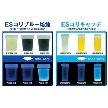 ESコリキャッチ TNシリーズ - 栄研化学