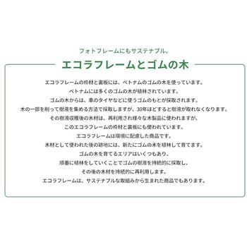エコラフレーム 万丈
